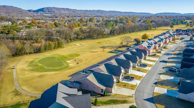 8209 Double Eagle Court, Ooltewah, TN 37363