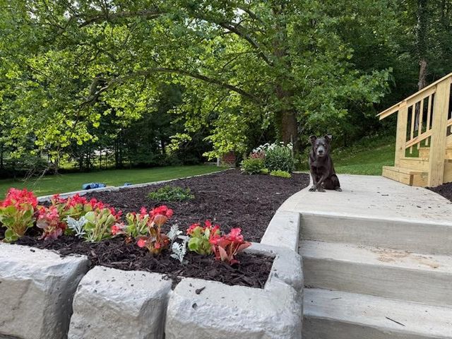 117 Cowpath Road, Independence, PA 15001