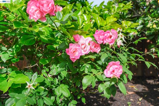 8280 Cardiff Dr, Dublin, CA 94568