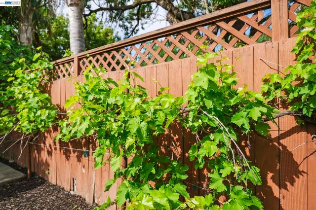 8280 Cardiff Dr, Dublin, CA 94568