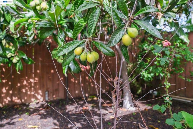 8280 Cardiff Dr, Dublin, CA 94568