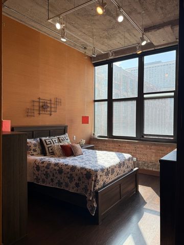 320 E 21st Street 411, Chicago, IL 60616