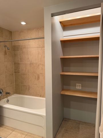 320 E 21st Street 411, Chicago, IL 60616