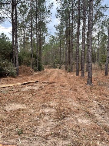 462 Timber Rd, Livingston, TX 77351