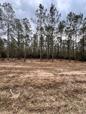 462 Timber Rd, Livingston, TX 77351