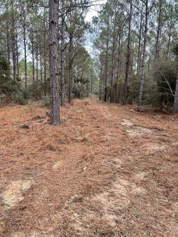 462 Timber Rd, Livingston, TX 77351