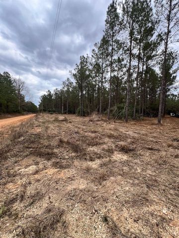 462 Timber Rd, Livingston, TX 77351