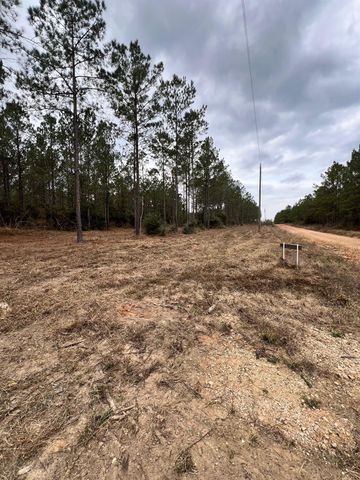 462 Timber Rd, Livingston, TX 77351