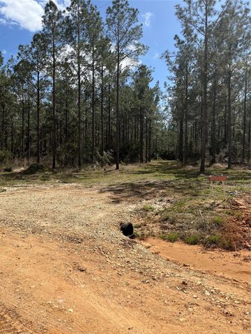 462 Timber Rd, Livingston, TX 77351