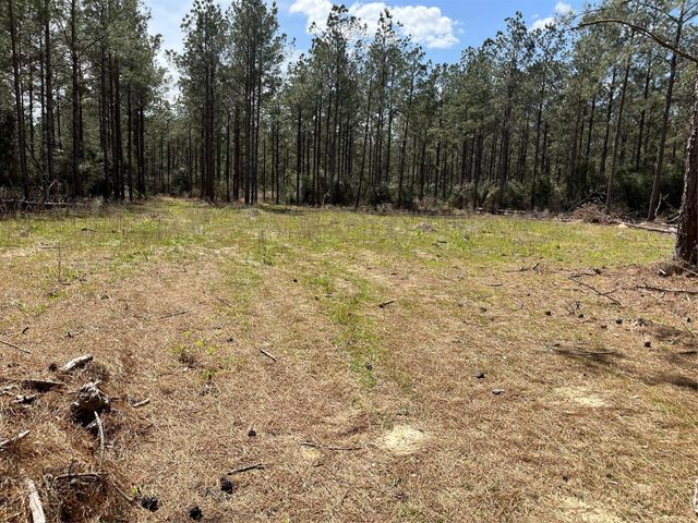 462 Timber Rd, Livingston, TX 77351