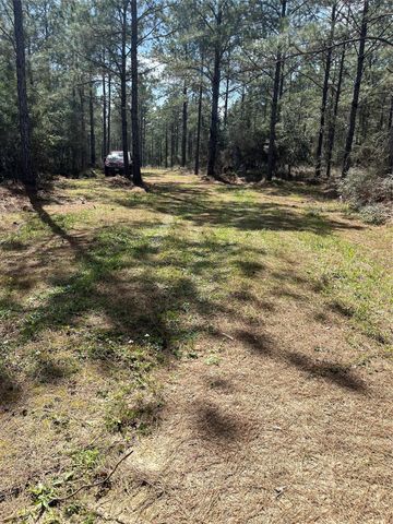 462 Timber Rd, Livingston, TX 77351