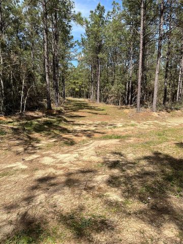 462 Timber Rd, Livingston, TX 77351