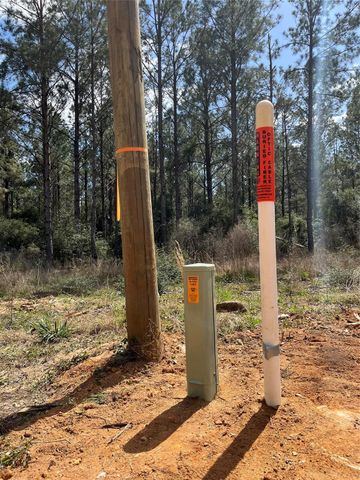 462 Timber Rd, Livingston, TX 77351