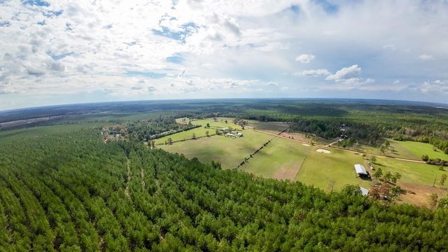462 Timber Rd, Livingston, TX 77351