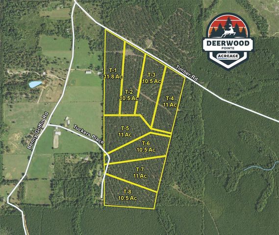 462 Timber Rd, Livingston, TX 77351