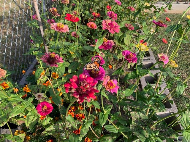 1544 Sweeden Road, Russellville, AR 72802