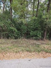 3665 S Diamond Avenue, Inverness, FL 34452