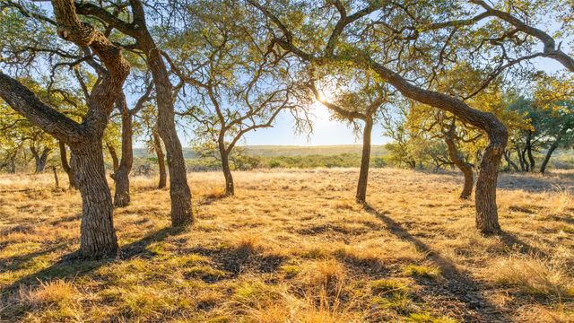 1422-8 RM 2766, Johnson City, TX 78636