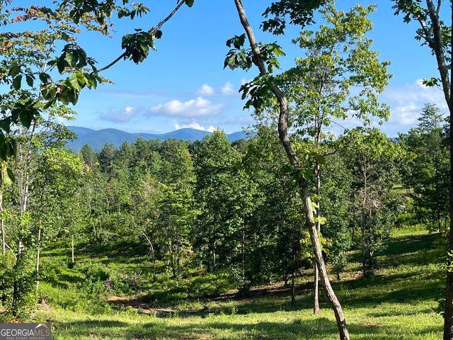 LOT 1 Highway 52 W, Dahlonega, GA 30533