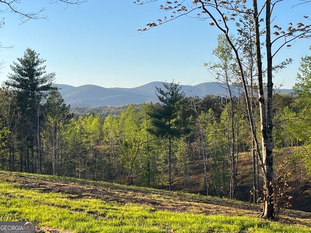 LOT 1 Highway 52 W, Dahlonega, GA 30533