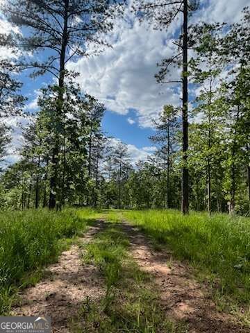 LOT 1 Highway 52 W, Dahlonega, GA 30533