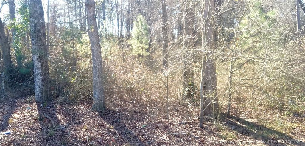 0 Broad Street, St Pauls, NC 28384 — photo 2