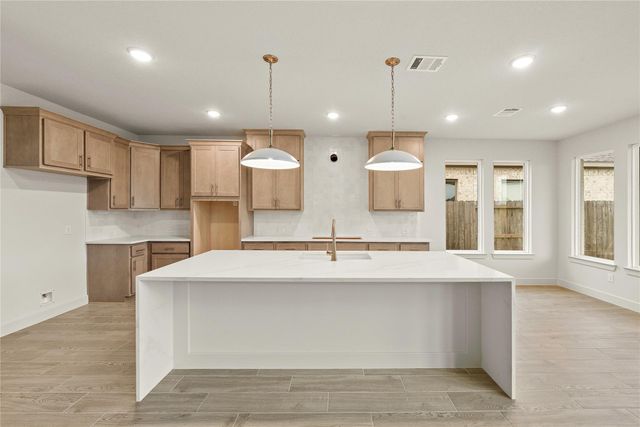 913 Rock Daisy TRL, Hutto, TX 78634