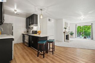 259 N Capitol Ave 268, San Jose, CA 95127
