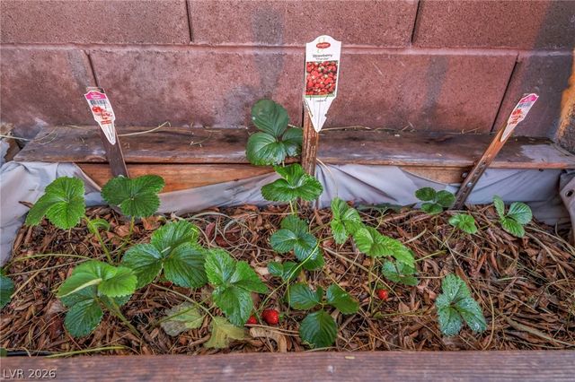 10372 Hawks Wing Street, Las Vegas, NV 89178