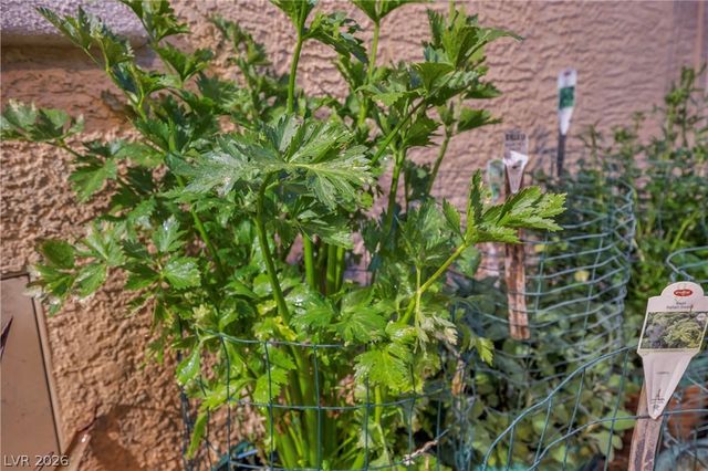 10372 Hawks Wing Street, Las Vegas, NV 89178