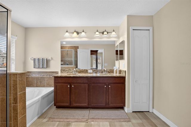10307 SUMMER AZURE DRIVE, Riverview, FL 33578