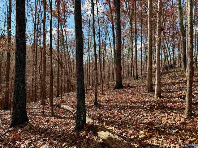 1 County Road 137, Cedar Bluff, AL 35959