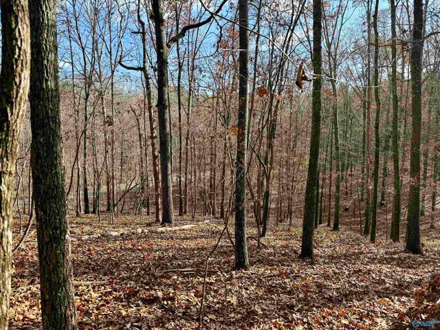 1 County Road 137, Cedar Bluff, AL 35959