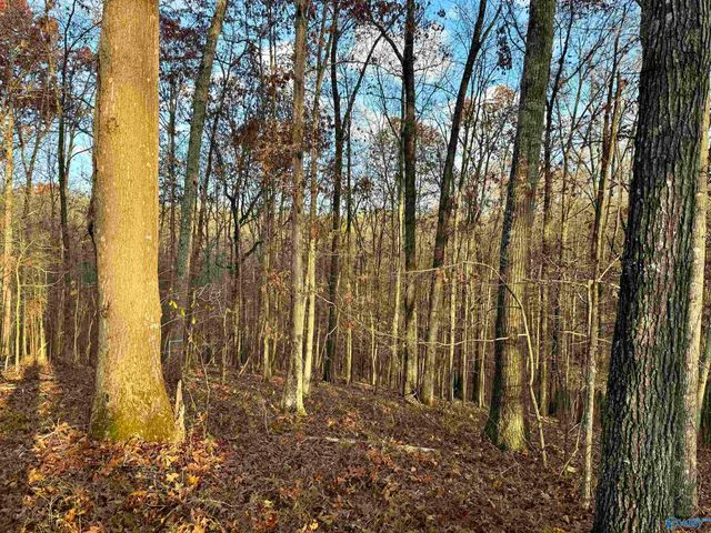 1 County Road 137, Cedar Bluff, AL 35959