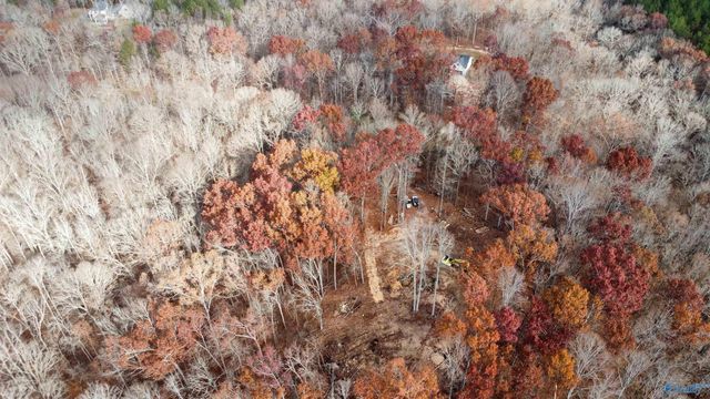 1 County Road 137, Cedar Bluff, AL 35959