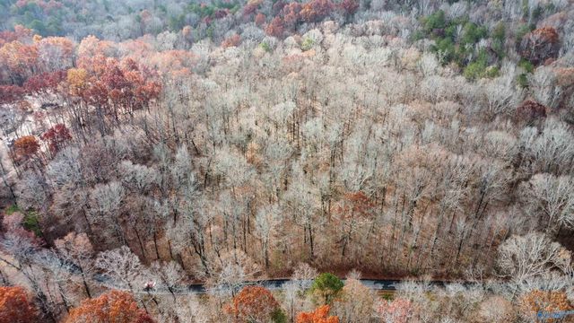 1 County Road 137, Cedar Bluff, AL 35959