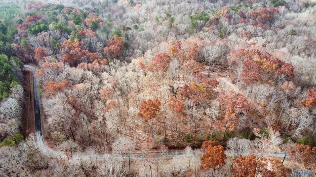 1 County Road 137, Cedar Bluff, AL 35959