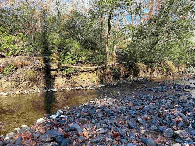 1 County Road 137, Cedar Bluff, AL 35959