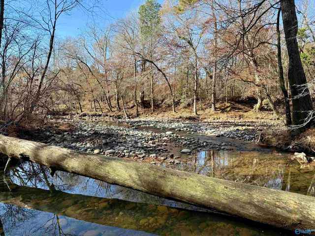 1 County Road 137, Cedar Bluff, AL 35959