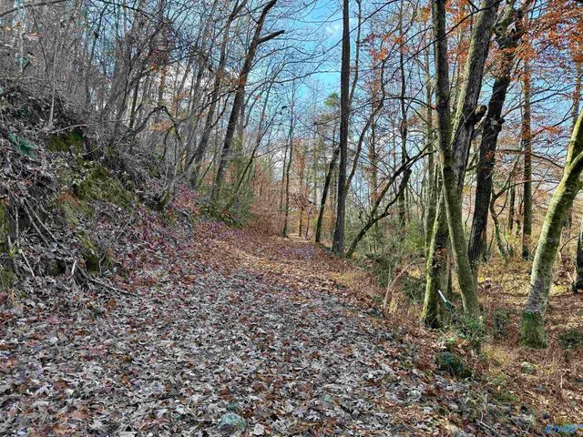 1 County Road 137, Cedar Bluff, AL 35959