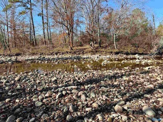 1 County Road 137, Cedar Bluff, AL 35959