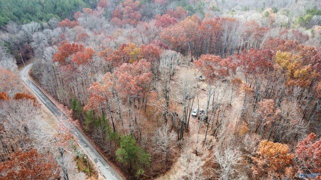 1 County Road 137, Cedar Bluff, AL 35959