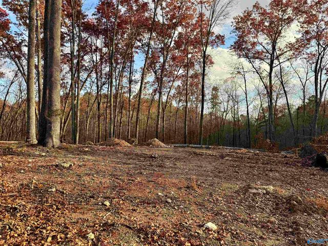 1 County Road 137, Cedar Bluff, AL 35959