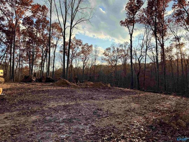 1 County Road 137, Cedar Bluff, AL 35959