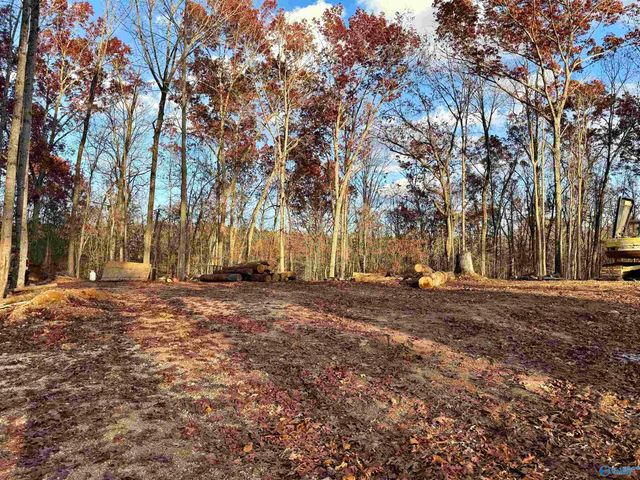 1 County Road 137, Cedar Bluff, AL 35959