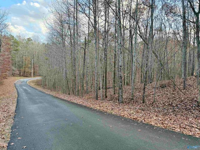 1 County Road 137, Cedar Bluff, AL 35959