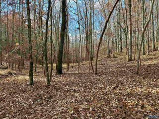 1 County Road 137, Cedar Bluff, AL 35959