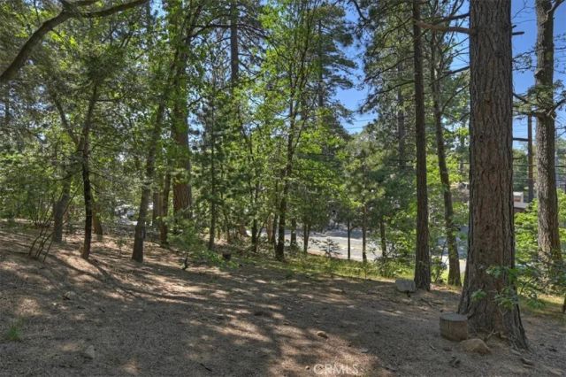 27596 Oak Knoll, Crest Park, CA 92326