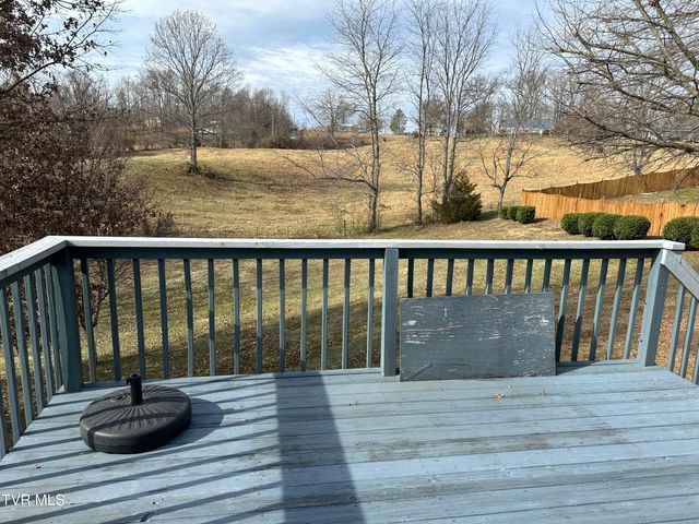 230 Mockingbird Place, Jonesborough, TN 37659