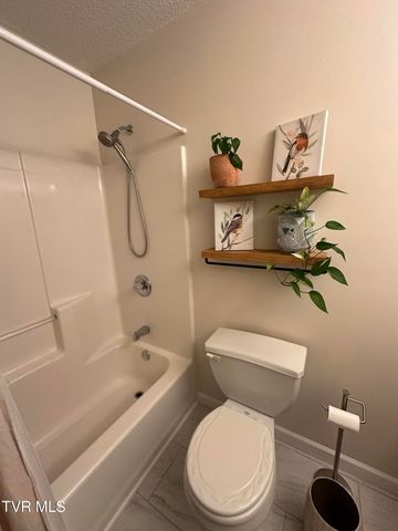 230 Mockingbird Place, Jonesborough, TN 37659